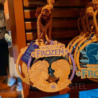 香港ディズニーアナ雪グッズ：木彫りの壁飾り（アナ＆エルサ）