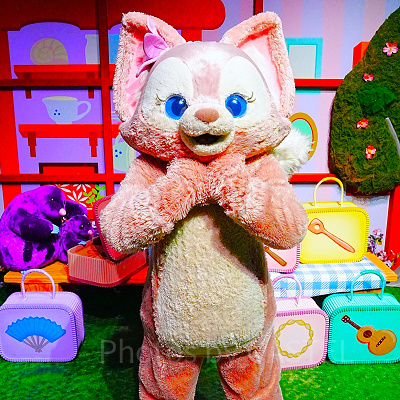 香港ディズニーチケット：マジックアクセス