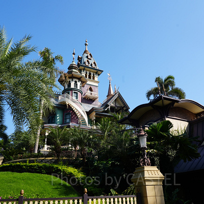 香港ディズニーチケット：DPA付チケット