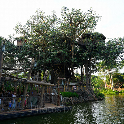 香港ディズニーチケット：公式アプリでチケット購入