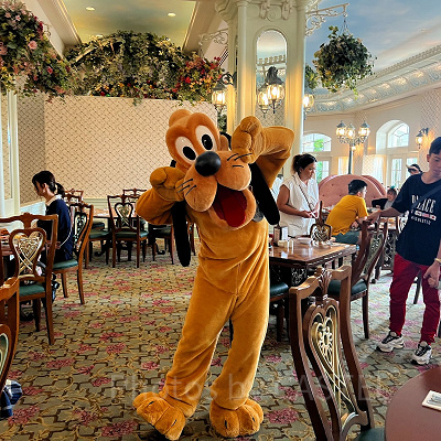 香港ディズニーランドホテル：エンチャンテッドガーデンのキャラクターダイニング