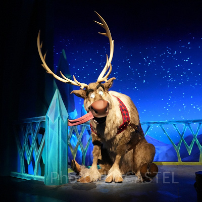 香港ディズニーのアナ雪エリア「ワールドオブフローズン」：施設数