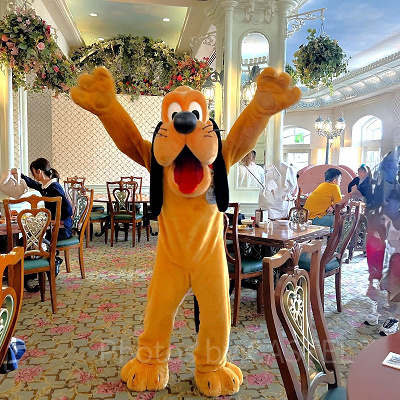 香港エンチャンテッドガーデンレストラン：プルートの1ショット！