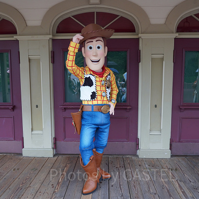 ホースシュー・ラウンドアップ（イメージ）