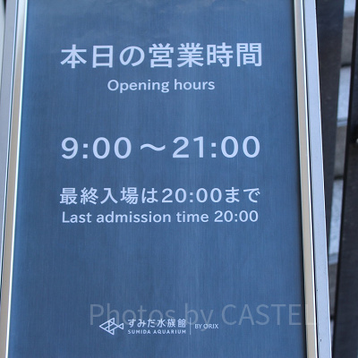 営業時間は特別なイベントがない限り通年変わりません