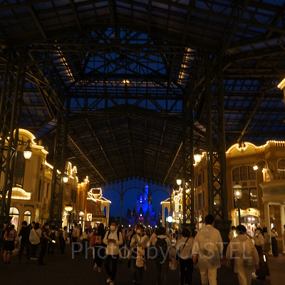 ディズニーランドの夜の混雑状況は？