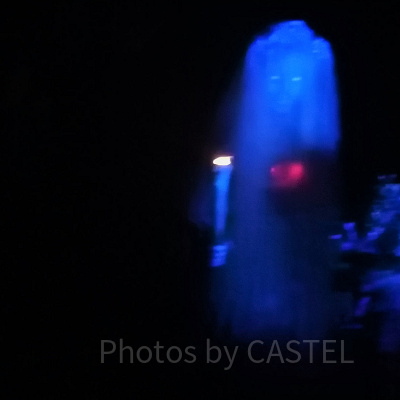 ホーンテッドマンションの花嫁は何人？ゾッとする裏話からグッズまで!