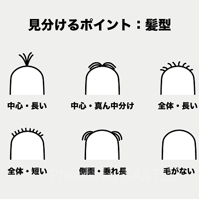 ミニオンの見分け方③：髪型