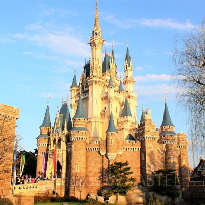 ディズニーランドの楽しみ方