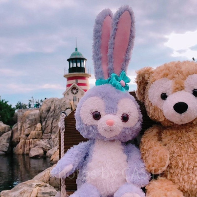 ディズニーシーの楽しみ方