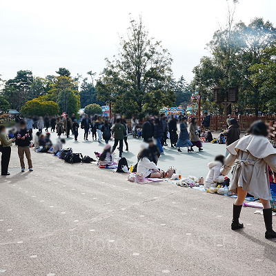 ハーモニーインカラーの場所取りの様子（2024年1月10日 12:20ごろ）