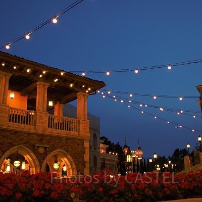 大人ディズニーのまわり方