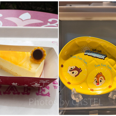 ヒュウガナツレアチーズケーキ、スーベニアプレート付き