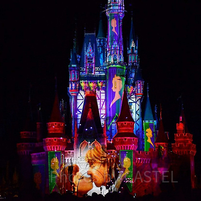 美しいショーは絶対観たい