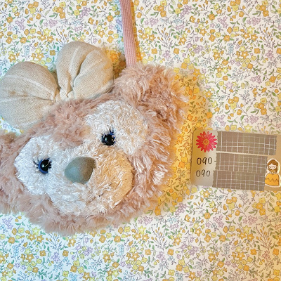 シェリーメイのパスケースにカードを入れています