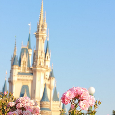 バラに焦点を当ててみました。