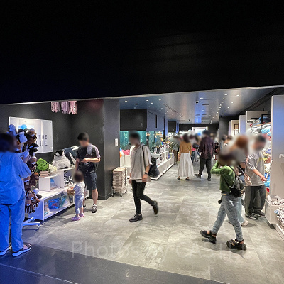 IN THE BLUE（アクアパーク品川）