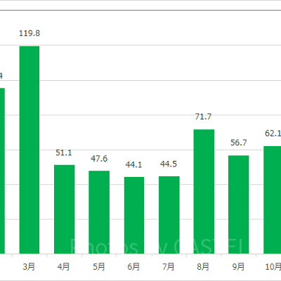 インディ・ジョーンズ・アドベンチャー：クリスタルスカルの魔宮の月別平均待ち時間