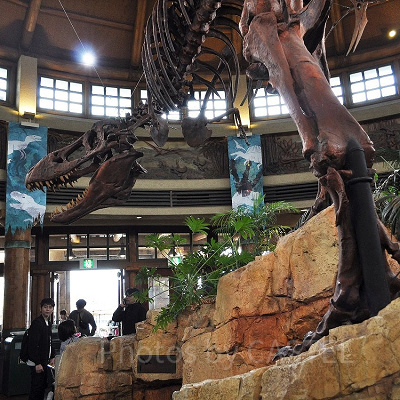 ディスカバリーレストラン店内