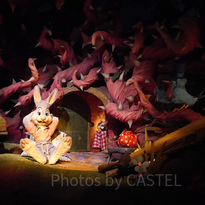 スプラッシュ・マウンテンの中