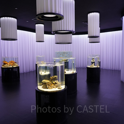 落ち着いた雰囲気の館内