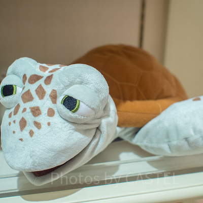 クラッシュの話術はプロの芸人並み？！