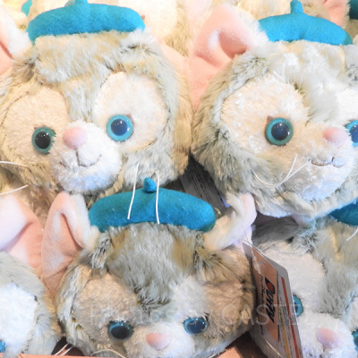 パスケースにもなります