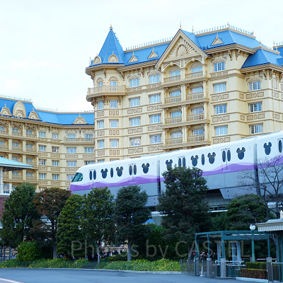 1月ディズニーランド混雑レポ：ディズニーリゾートライン(Type-C)