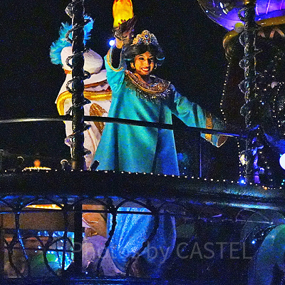 長袖の衣装を着たジャスミン