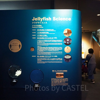 クラゲサイエンス