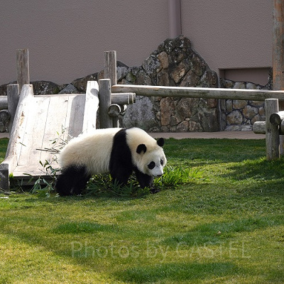 運動場で元気に遊ぶ楓浜