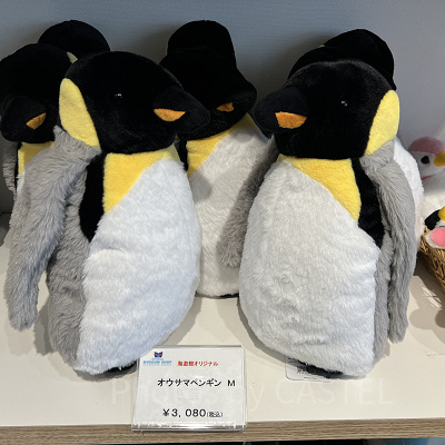 海遊館/オウサマペンギンぬいぐるみ
