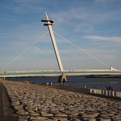 バーベキュー会場近くの葛西渚橋