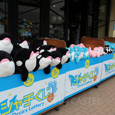 ハズレなしでぬいぐるみがもらえるシャチくじ