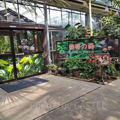 神戸どうぶつ王国