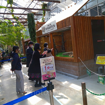 神戸どうぶつ王国の親子展示