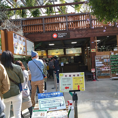 神戸どうぶつ王国の「アルパカカフェ