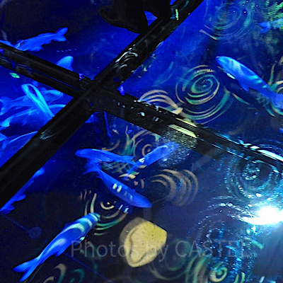 神戸ポートミュージアムアトア