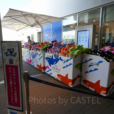神戸須磨シーワールドのお土産・グッズ：販売場所