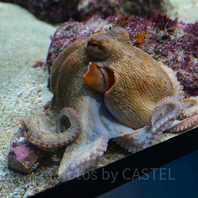 神戸須磨シーワールド：持ち物