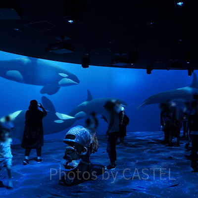 ブルールーム内の大型スクリーン