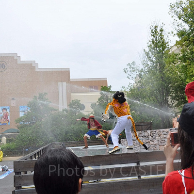 豹ルッチとルフィの水バトル／ワンピースウォーターバトル