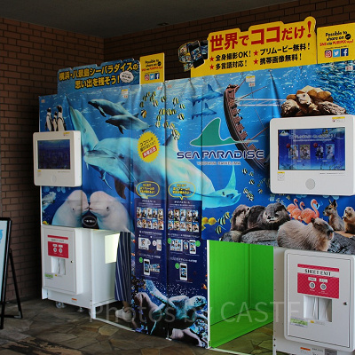 シーパラオリジナルのプリクラで思い出を残そう