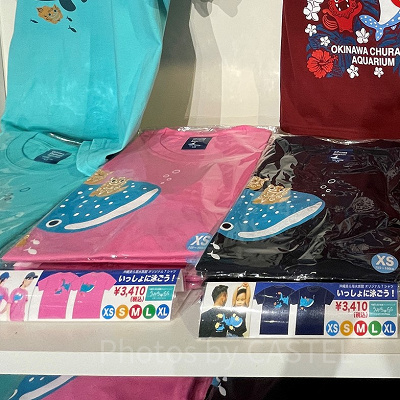 いっしょに泳ごう！Ｔシャツ