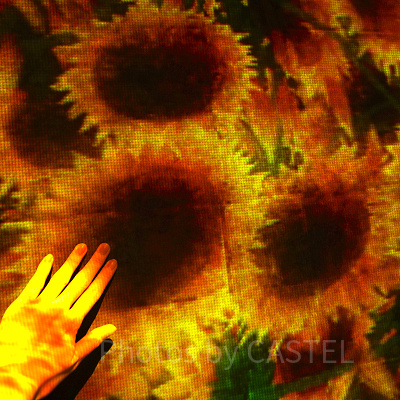 壁に映し出された花や動物に触ってみましょう！