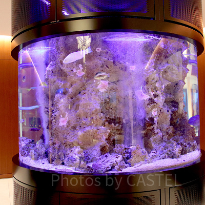 ロビーの水槽