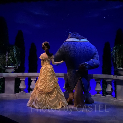 ディズニー新アトラクションの抽選