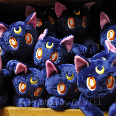 ルナのぬいぐるみ