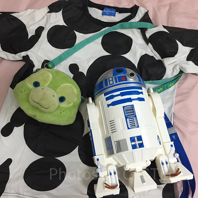 自宅をディズニーに！