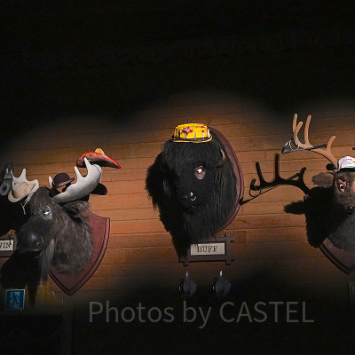 マックス/バフ/メルビン